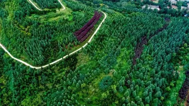 西安适合休闲放松的地方「西安休闲娱乐好去处」  第13张