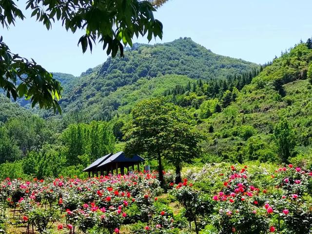 西安哪里休闲疫情笼罩下的五一劳动节,人们的心情依然压抑「五一劳动节,西安哪里休息休闲疫情笼罩下的五一劳动节」 第3张