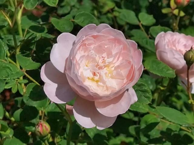 西安哪里休闲疫情笼罩下的五一劳动节,人们的心情依然压抑「五一劳动节,西安哪里休息休闲疫情笼罩下的五一劳动节」 第7张