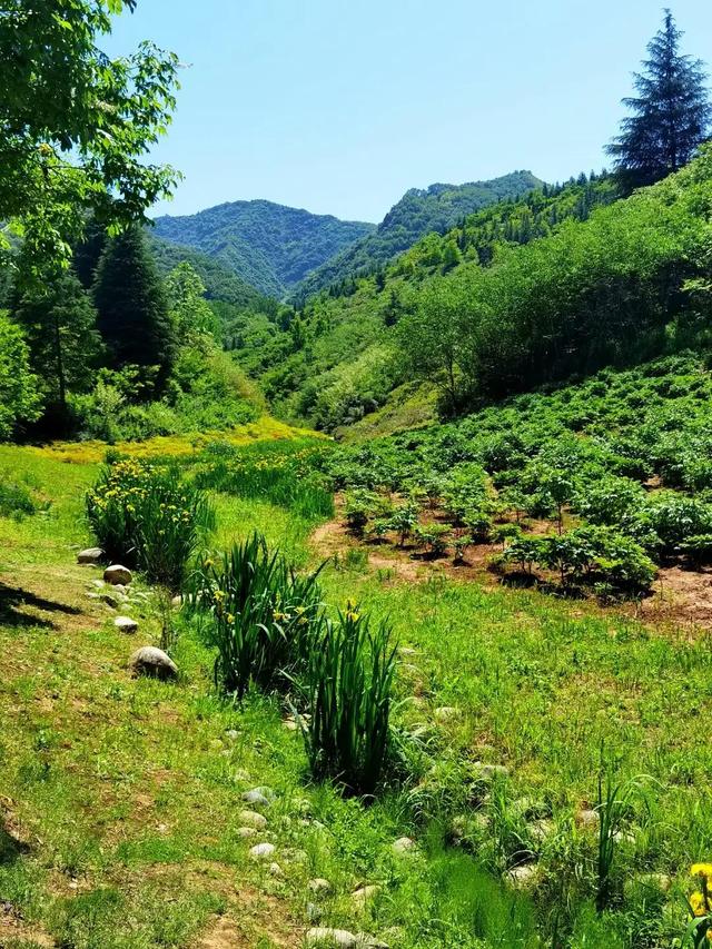 西安哪里休闲疫情笼罩下的五一劳动节,人们的心情依然压抑「五一劳动节,西安哪里休息休闲疫情笼罩下的五一劳动节」 第15张