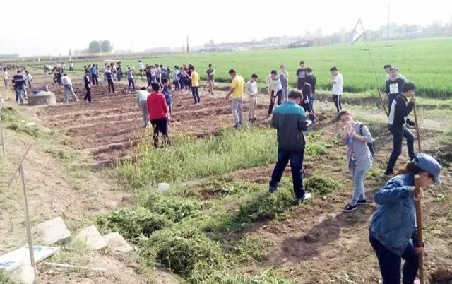 陕西家庭农场「西安好玩的农家乐」  第3张