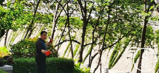 西安游记：西安游记「西安城墙走一圈阅尽历史沧桑，走一圈神清气爽，」  第6张