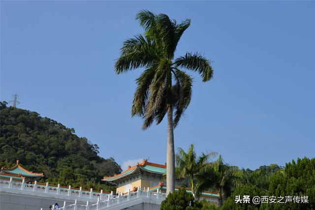 西安故宫休闲场所在哪「西安故宫」  第4张
