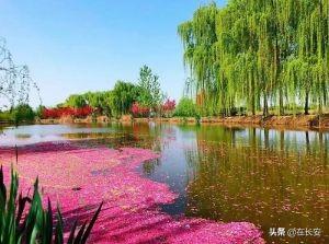 西安浐灞休闲娱乐「西安浐灞区有什么可以玩的地方」  第8张