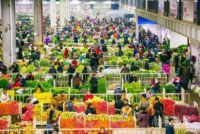 西安最低180元秋季最低180元秋季的长沙最低180元「11月旅游攻略」  第28张