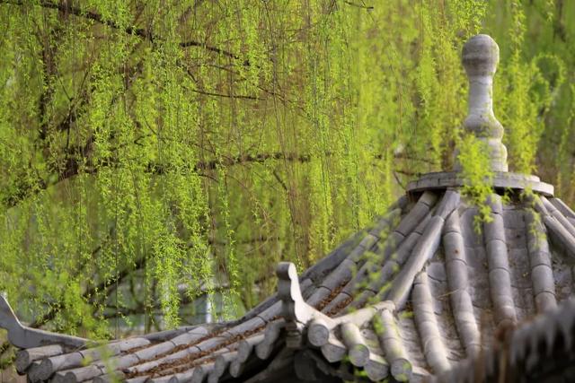西安交通大学为什么叫仙交大「西安交大为什么叫交大」  第3张