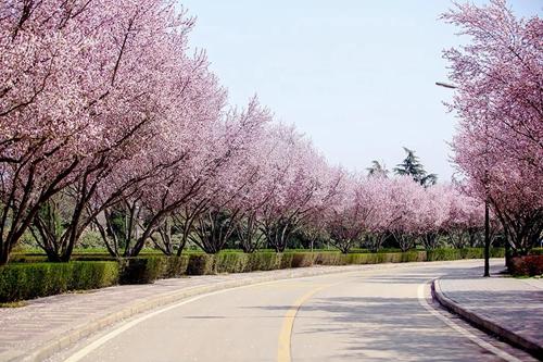 西安欧亚学院在哪个区?「西安欧亚学院在什么地方」  第14张