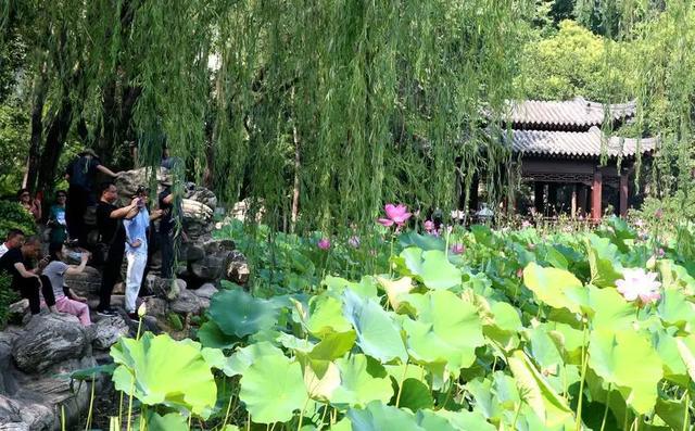 西安老旧小区改造“老旧小区改造提升城市公园15座绿地广场”「“靓”你get到了吗？」  第21张