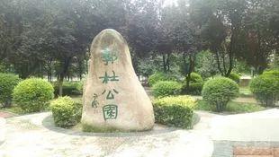 西安英文翻译什么时候来西安英文翻译你坐的地铁12号线有多牛「关于西安的一些冷知识」  第39张