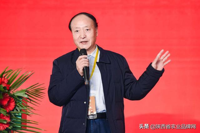 西安茶叶都有什么品种的「陕西有什么特色茶叶品种」  第7张