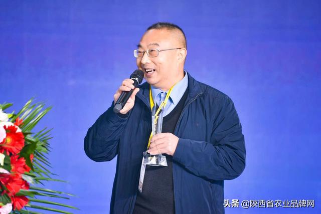 西安茶叶都有什么品种的「陕西有什么特色茶叶品种」  第12张