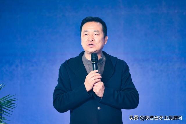 西安茶叶都有什么品种的「陕西有什么特色茶叶品种」  第10张