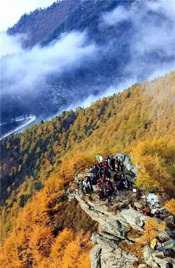 西安少华山遍野的红叶像火焰一般，少华山有算卦的没「少华山、少华山、少华山、少华山」  第21张