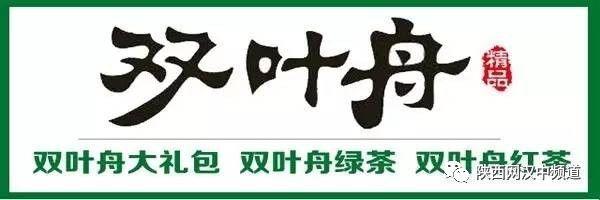 西安坐什么车能到咸阳机场呢「西安怎样去咸阳机场」  第1张