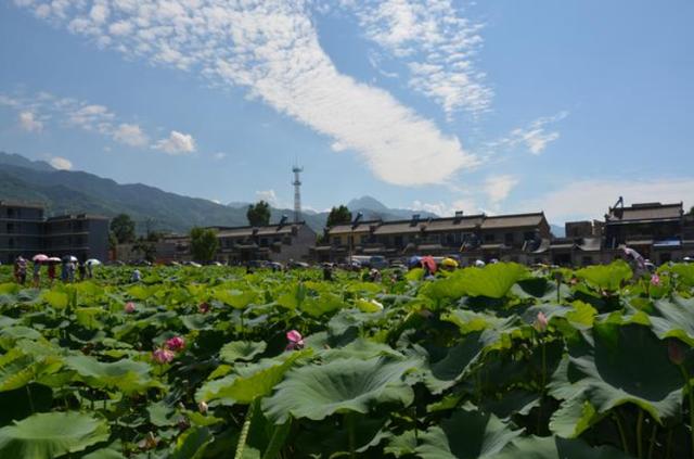 商洛旅游攻略：西安周边最美村落「商洛市商洛市山阳县漫川关镇自驾：金丝峡回西安周边最美村落」  第26张