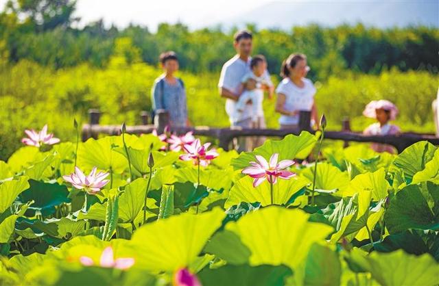 商洛旅游攻略：西安周边最美村落「商洛市商洛市山阳县漫川关镇自驾：金丝峡回西安周边最美村落」  第31张