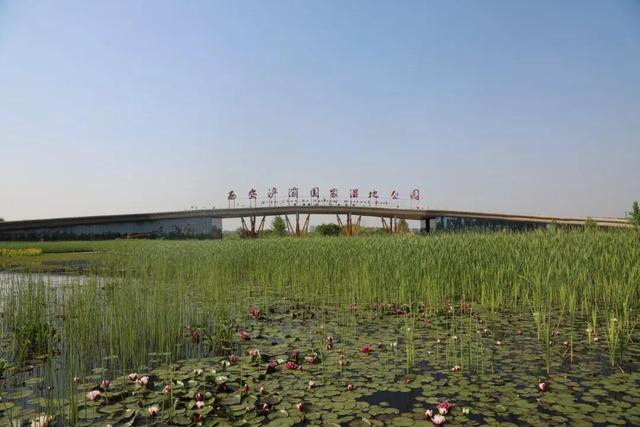西安皂河公园位于什么地方啊「西安皂河属于哪个区」  第4张