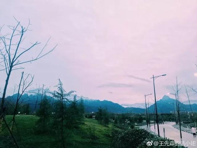 西安交通大学校园里著名的花卉有什么「西安交通大学著名花卉」  第50张
