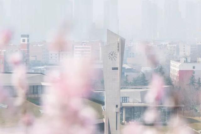 西安交通大学校园里著名的花卉有什么「西安交通大学著名花卉」  第58张