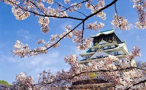 西安交大著名花卉有哪些「西安交通大学著名的花卉有哪些」  第5张