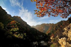 西安是属于什么省什么市「西安是什么省什么市什么区」  第10张