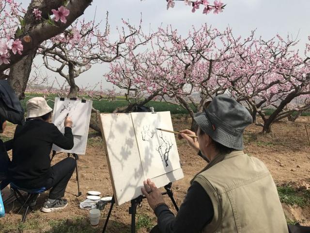 西安西大街桃秀「西安西大街桃花娱乐是什么」  第5张