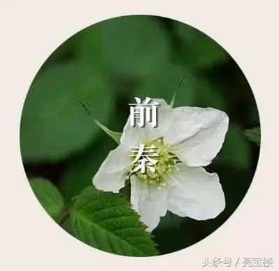 在西安发动的政变「西安发生的历史事件」  第10张