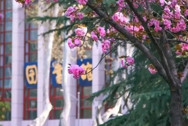 西安有什么三本医科院校吗「西安的三本医学院」  第2张