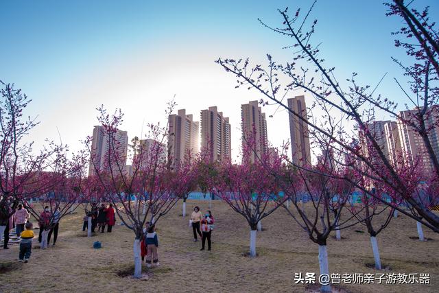 西安值得带的东西「西安有什么好耍的」  第7张