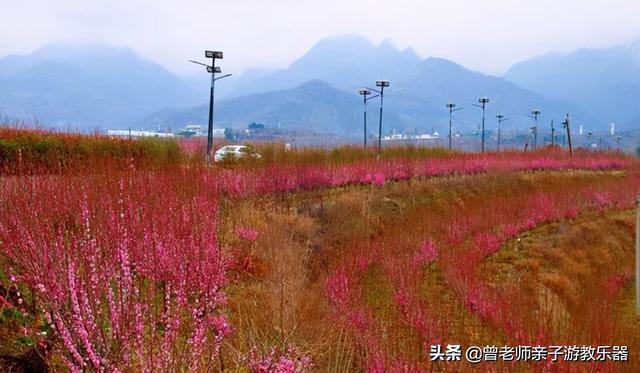 西安值得带的东西「西安有什么好耍的」  第5张