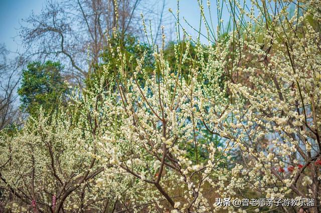 西安值得带的东西「西安有什么好耍的」  第30张