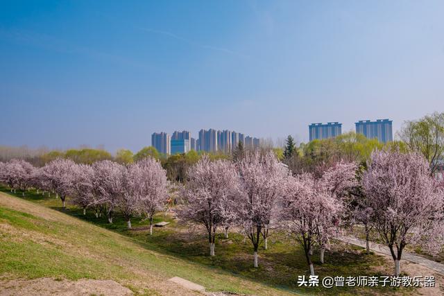 西安值得带的东西「西安有什么好耍的」  第42张