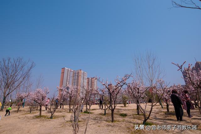 西安值得带的东西「西安有什么好耍的」  第80张
