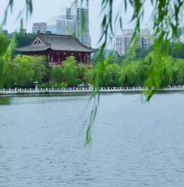 西安什么地方有相亲的「在西安哪里可以相亲」  第2张