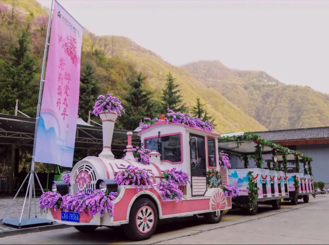 你真的来过西安吗?2023年西安春季文化旅游活动启幕 第10张