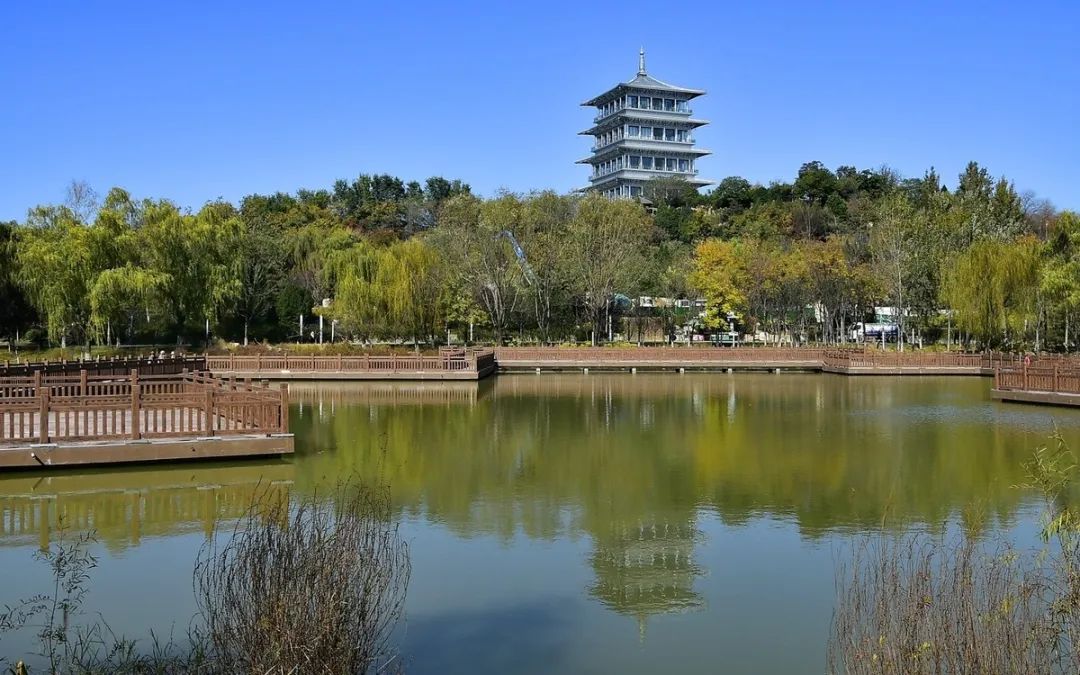 西安最高破30℃!热浪袭来!这些公园免费游! 第6张