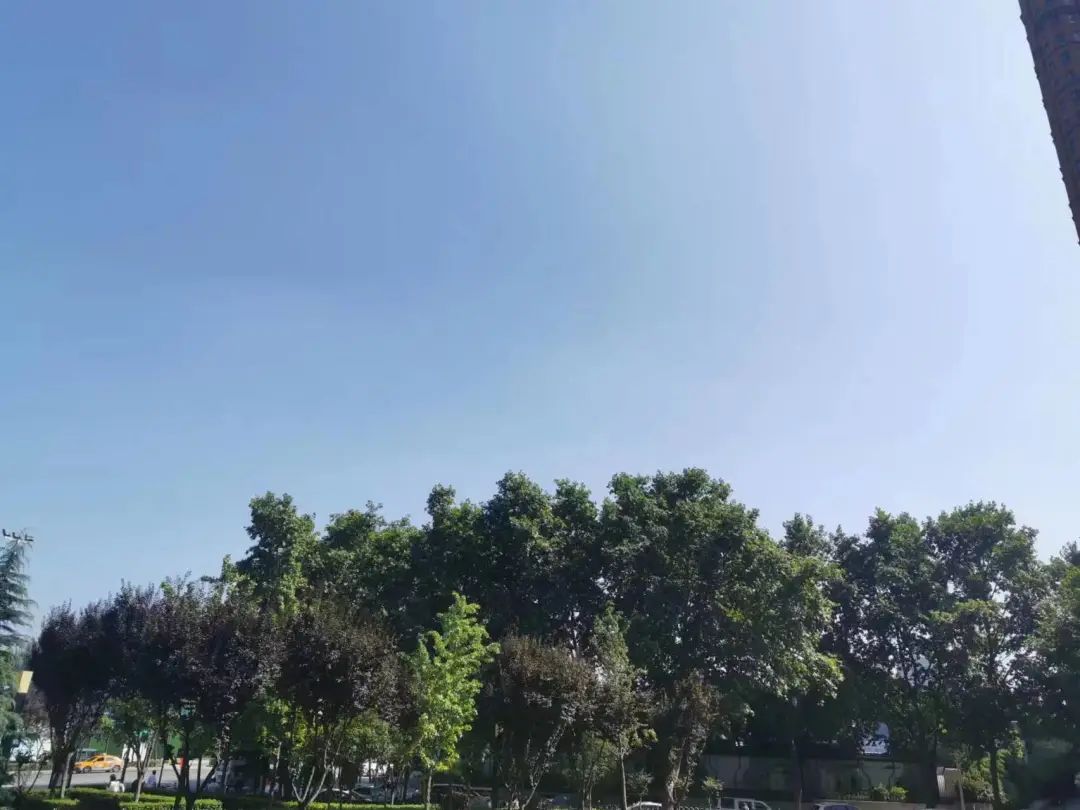 重要预报来了！突破30℃！西安这里最热！-第1张图片