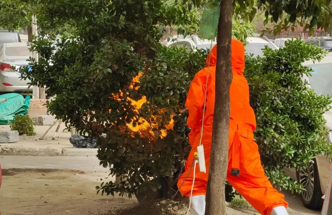 紧急提示:这些事千万别做!严重可致死!西安24小时内接到8起 第4张