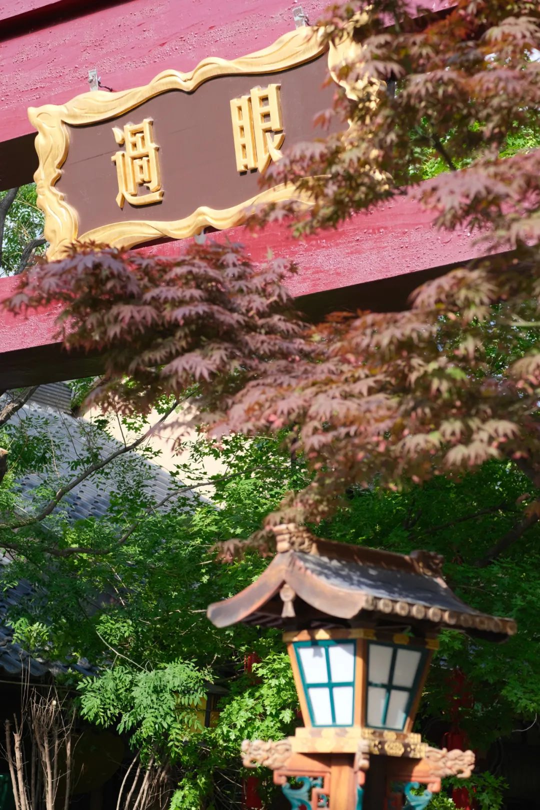 被吹到唐朝的网红风绊了个踉跄?快去西安仿古街区 第8张