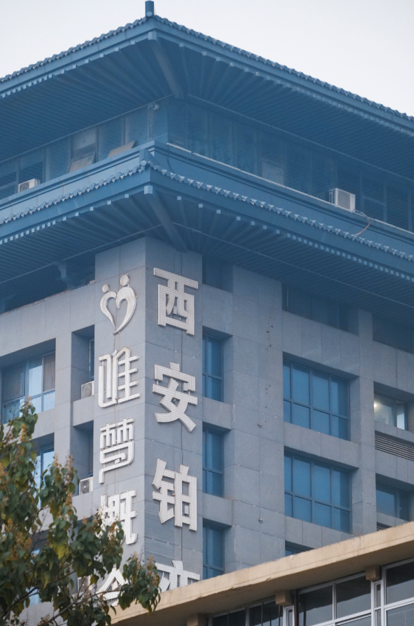 它藏着西安娱乐的“秘史”？曾经的西北第一金街-第8张图片