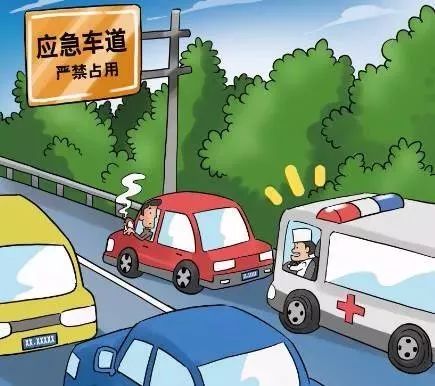 陕西最新发布!紧急!西安暴雨、大暴雨! 第28张