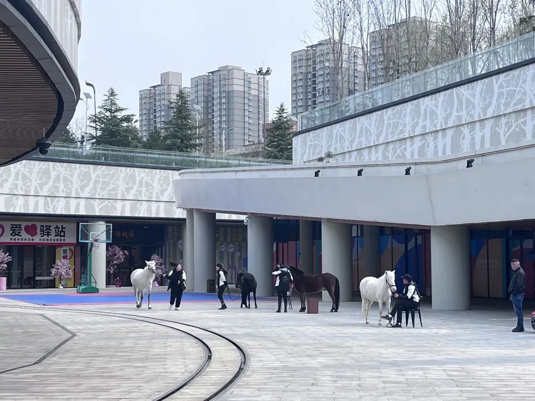 是否能激活西安幸福林带商业?百亿级银泰中心落地 第8张