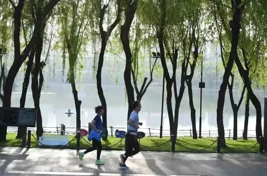 古老的灵魂,时尚的脉搏!这就是西安到底为何令人向往的原因 第63张