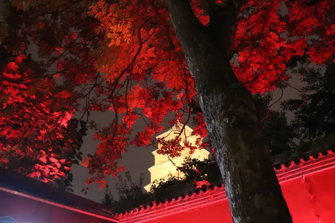 你来过西安吗？看看西安的夜晚-第11张图片