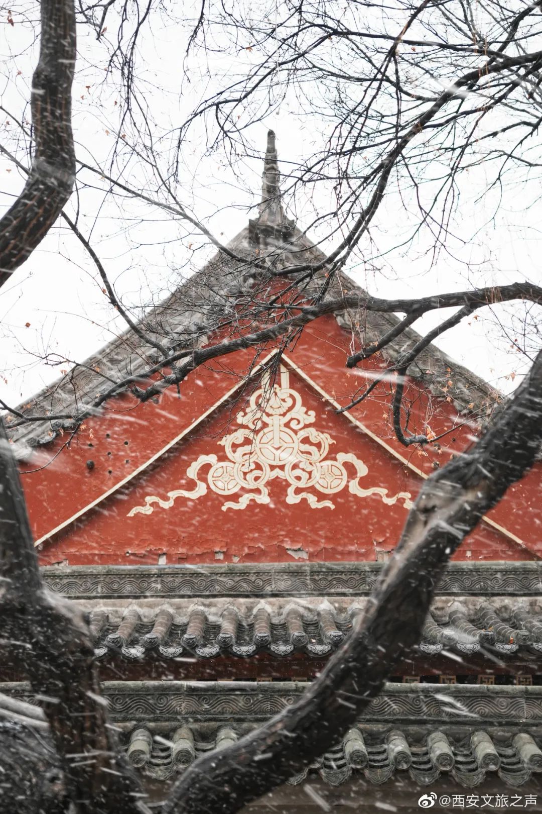 你的理由是什么？一人一个爱上西安的理由-第9张图片