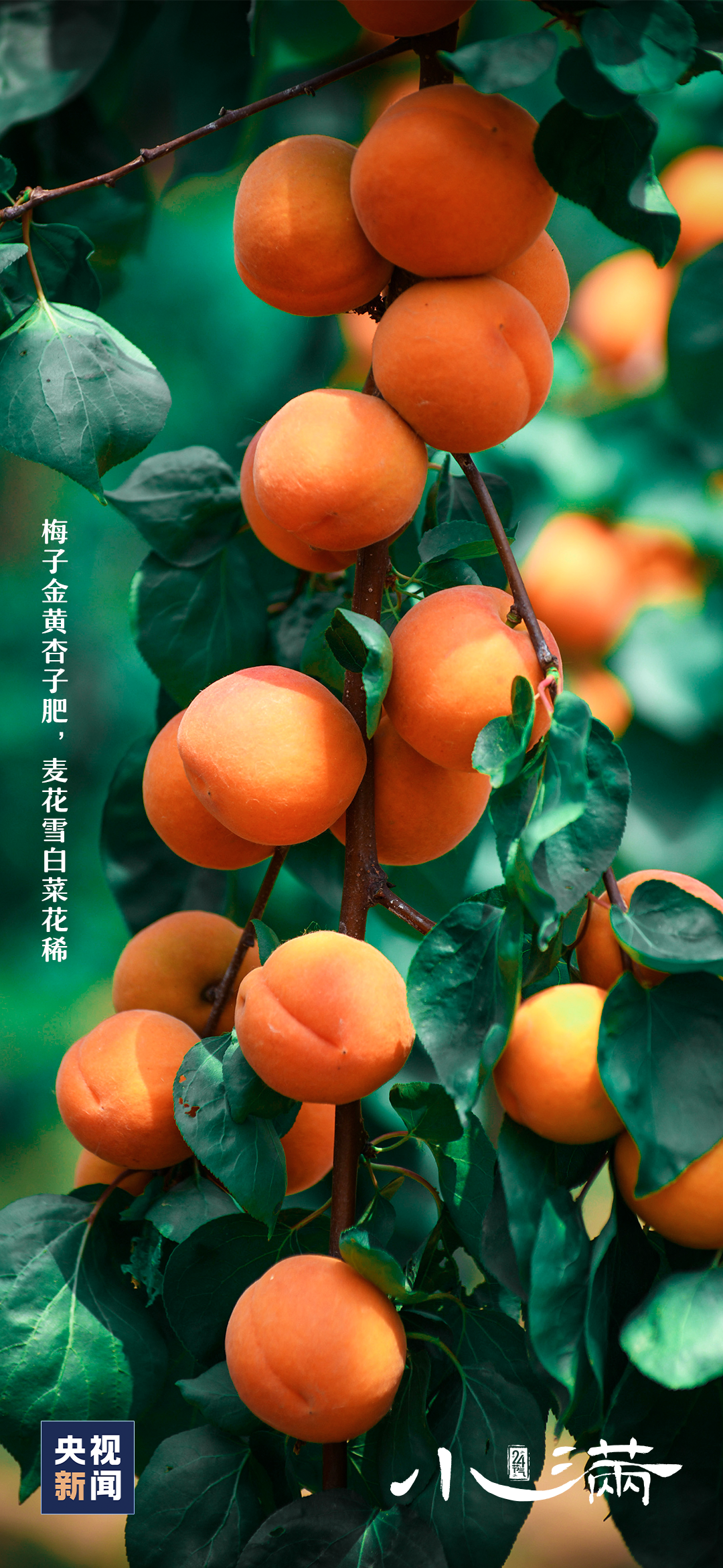 西安最新发布：解除！就在今晚22时左右……-第22张图片