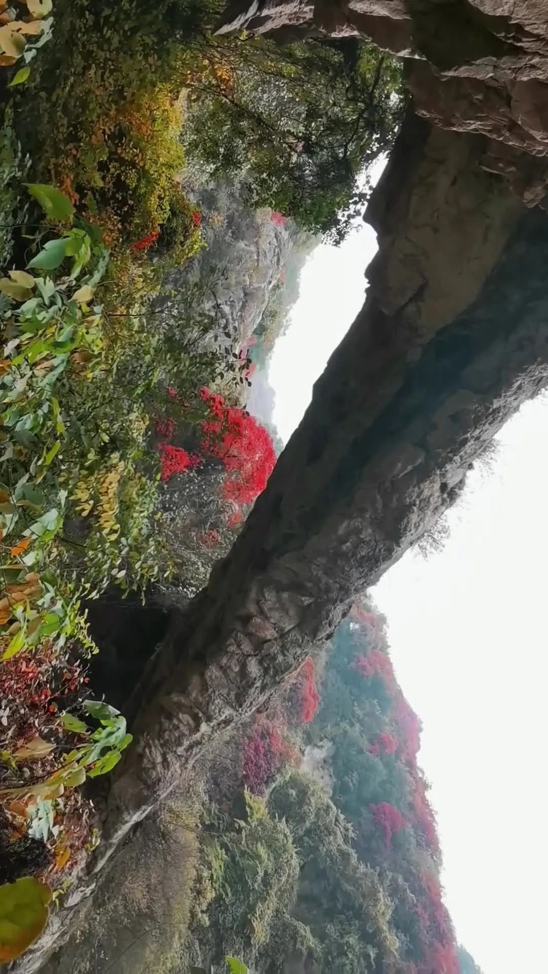 凭啥?一半西安人都去爬的“网红山”?这是什么情况? 第7张