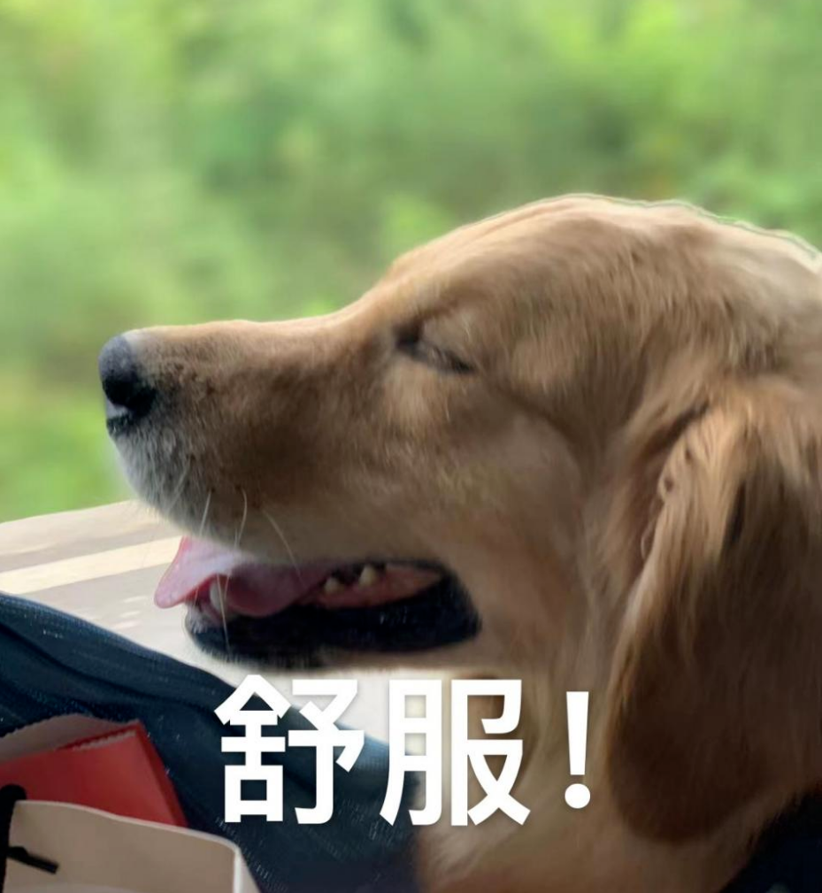 找个大晴天!我们一起去西安这些花海打卡可好?全部免费! 第1张