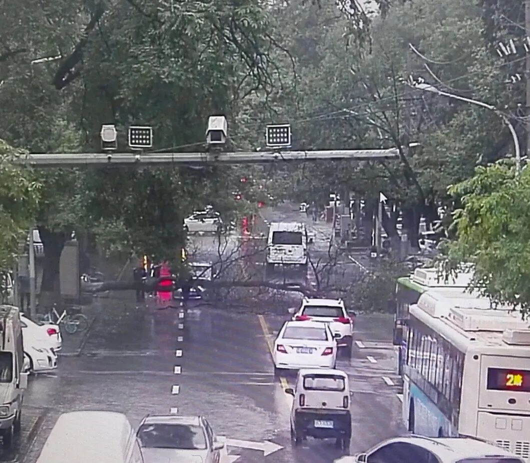 西安雨停时间→注意:树木倾倒!西安这些区域封闭、禁行! 第1张