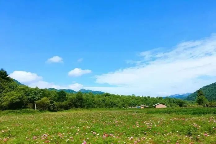 周末安排！藏不住了！西安周边超美打卡地！-第8张图片